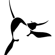 欧洲鲸类动物学会