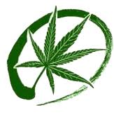 国际大麻素研究会