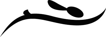 国际敏捷制造学会