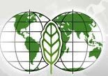 国际植物保护科学协会