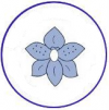 澳大拉西亚本土兰花协会