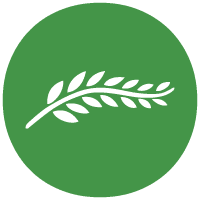 国际墓园火葬与殡葬协会