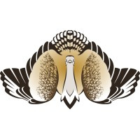 国际波斑鸨保护基金