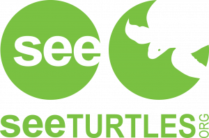 SEE Turtles海龟保护组织