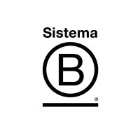 B体系（Sistema B）