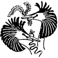 动物行为研究协会